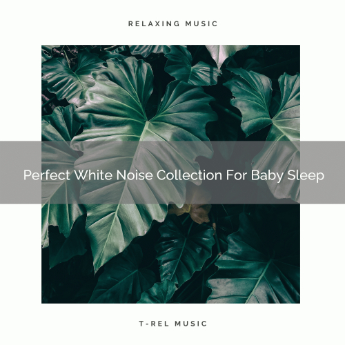 Chill Relajente - Fashionable Noise For Your Pleasure And Easy Morning