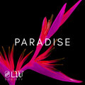 Kane Lane、8 Bit Society、Black/White - Paradise (Black/White & Kane Lane  Remix)