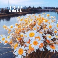 虫儿 - 1211