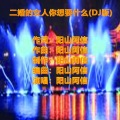 二婚的女人你想要什么 (DJ版)