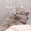 我是你的谁