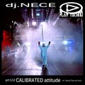 DJ.Nece、Nando Pascual - Calibrated Attitude (Nando Pascual Remix)