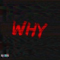 Why (Explicit)