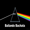 Bailando Bachata