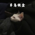 高高 - 背对背拥抱
