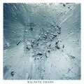 Magnetic Fields