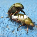 Guaynaa、Drako 