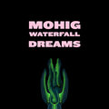 Waterfall Dreams