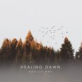 Abhijit Ray - Healing Dusk