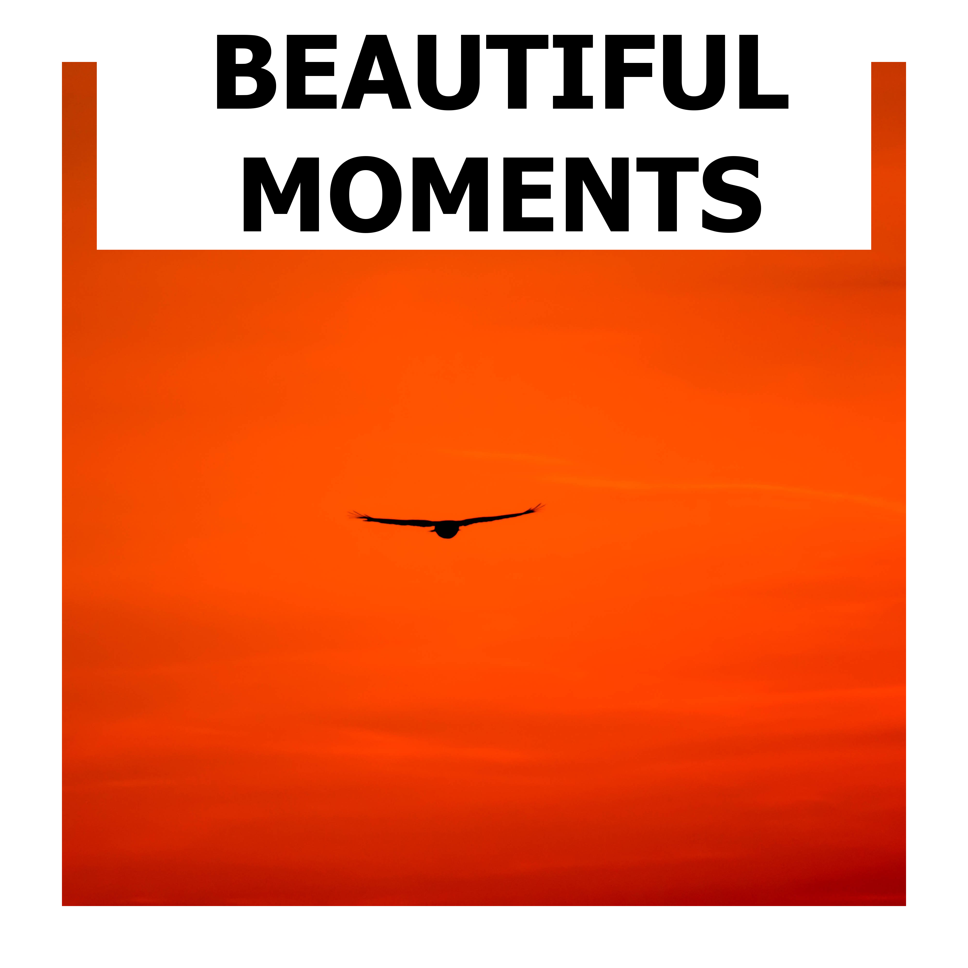 Beautiful Moments Of Relaxation