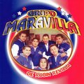 Grupo Maravilla