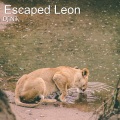 DJ Nik - Escaped Leon (Bigroom Music)
