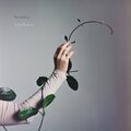 Sestrica - Mira