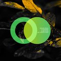 Shayan Pasha - A Thousand & One Faces (BardeeyaRemix)