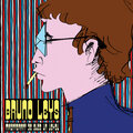 Bruno Leys - Maintenant je suis un voyou