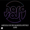 hardsoul、Patt Riley、Ben Saunders - Burn