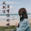 九歌 - 风飘过没有你的城