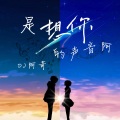 DJ阿奇 - 是想你的声音阿 (DJ版)