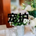 祁恺 - 以后的以后