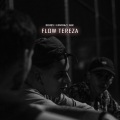 Flow Tereza (Explicit)