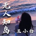 王小白 - 不知所措