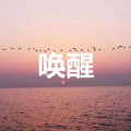 赵子明 - 疤 (伤感版)