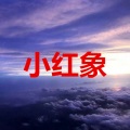 赵子明 - 飞鸟和蝉