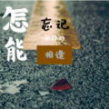 迪迪 - 怎能忘记和你相逢