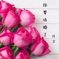 厌言 - 你要结婚了