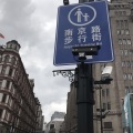 耀温顺 - 笑纳