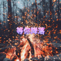 等你降落