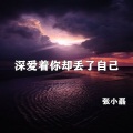 张小磊 - 深爱着你却丢了自己