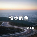 张小磊 - 怕水的鱼