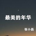 张小磊 - 最美的年华