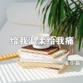 张小磊 - 给我温柔给我痛