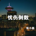 张小磊 - 忧伤倒数