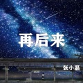 张小磊 - 再后来