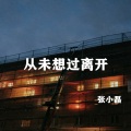 张小磊 - 从未想过离开