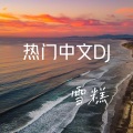 追光者 (DJ弹鼓版)