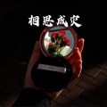 王梓 - 雅俗共赏 (经典版)