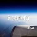 张小磊 - 如果你明白