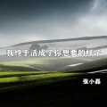 张小磊 - 我终于活成了你想要的样子
