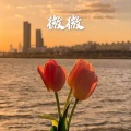 雪晴 - 我是如此相信 (DJ版)