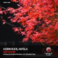 Hobin Rude、Antela - Deep Within (SebastianHaasRemix)