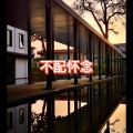 笙笙 - 夏天