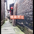 笙笙 - 无情