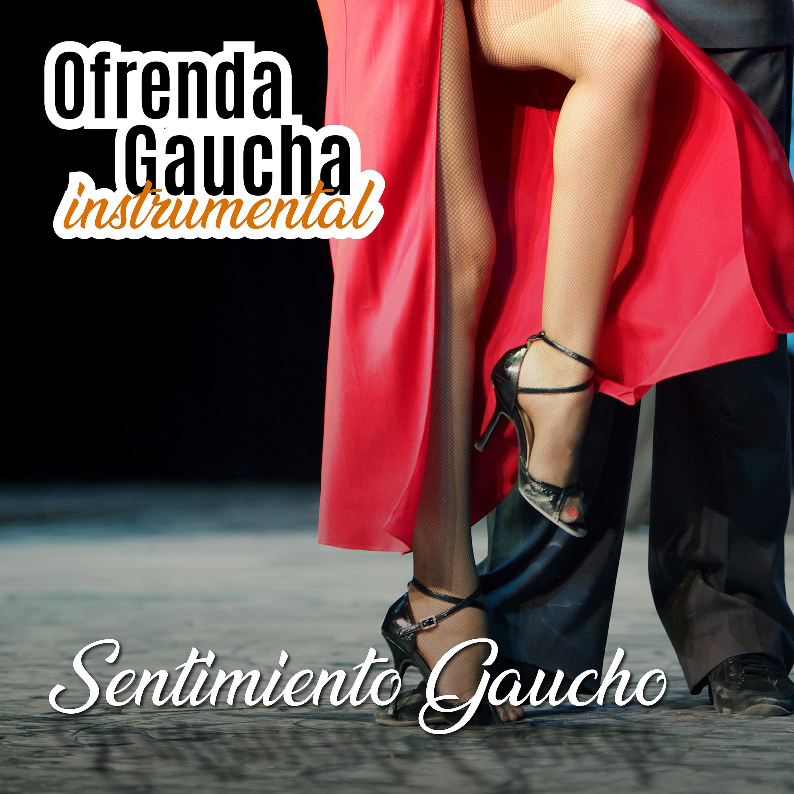 Ofrenda Gaucha: Sentimiento Gaucho (Instrumental)