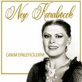 Neşe Karaböcek、Yaşar Güvenir、Cengiz Coşkuner - Bir Tuhafım Bu Akşam