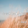 张小磊 - 我的深情就是个笑话