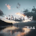 张小磊 - 爱到深处全是泪